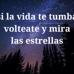 image shows trees and the star filled sky at night with the words "if life knocks you down, turn over and watch the stars"